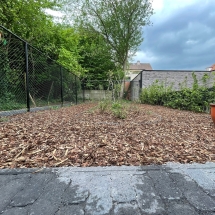 Stijn Van der Veken tuin- en boomwerken