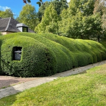 Stijn Van der Veken tuin- en boomwerken