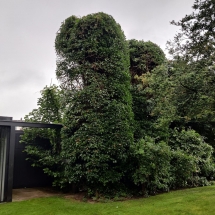 Stijn Van der Veken tuin- en boomwerken