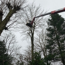 Stijn Van der Veken tuin- en boomwerken