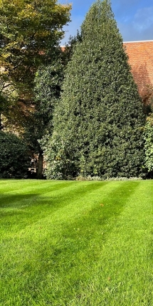 Stijn Van der Veken tuin- en boomwerken