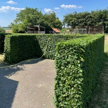 Stijn Van der Veken tuin- en boomwerken