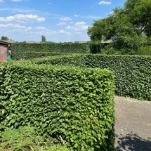 Stijn Van der Veken tuin- en boomwerken