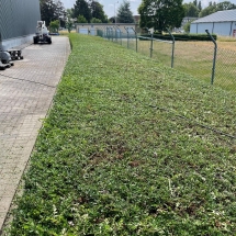 Stijn Van der Veken tuin- en boomwerken