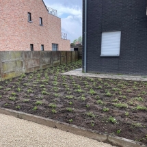 Stijn Van der Veken tuin- en boomwerken