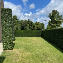 Stijn Van der Veken tuin- en boomwerken