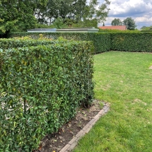 Stijn Van der Veken tuin- en boomwerken