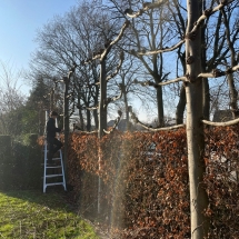 Stijn Van der Veken tuin- en boomwerken