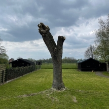 Stijn Van der Veken tuin- en boomwerken