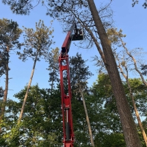 Stijn Van der Veken tuin- en boomwerken