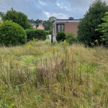 Stijn Van der Veken tuin- en boomwerken