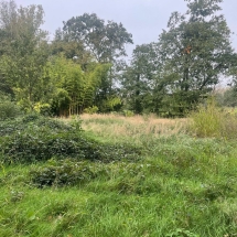 Stijn Van der Veken tuin- en boomwerken