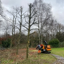 Stijn Van der Veken tuin- en boomwerken